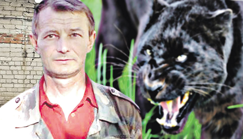 У Росії на Новий рік пантера загризла ямпільчанина, який працював у зоопарку
