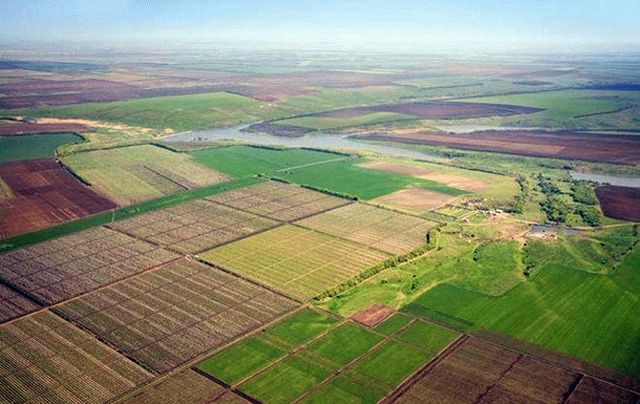 Хабара не вимагали – у ГУ Держгеокадастру пояснили ситуацію із виділенням землі фермеру з Мурованокуриловецького району