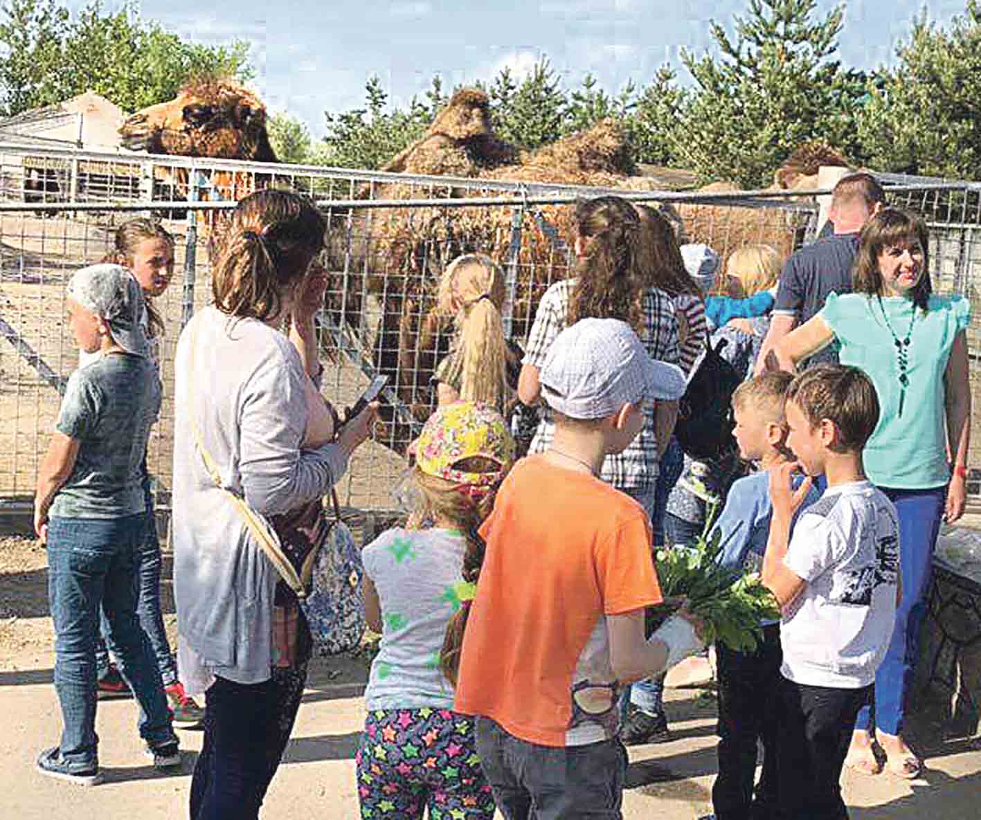 У вихідні вінничани перегодували звірів у вінницькому зоопарку