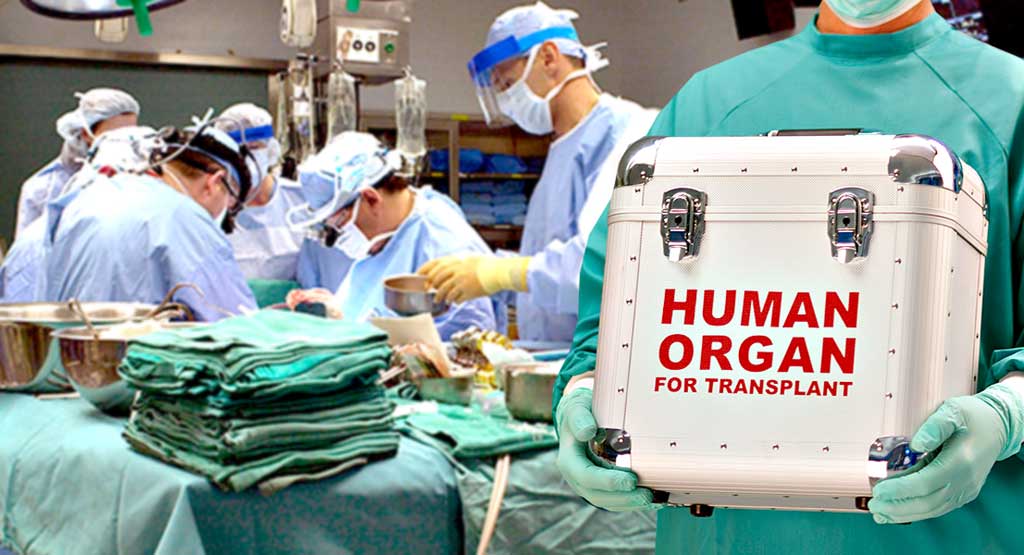 Щоб дозволена трансплантація органів не стала кримінальною комерцією «чорних хірургів»
