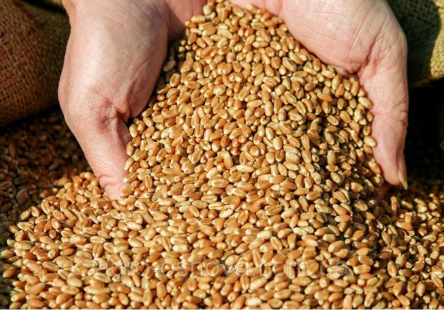Другий мільйон тонн зерна зібрали аграрії Вінниччини