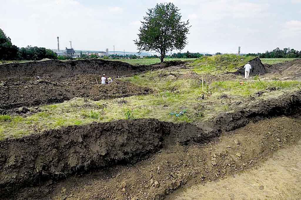 «Кладову могилу» скіфів розкопали за Гайсином