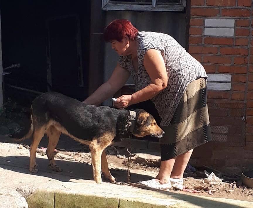 Бершадчанка, яка прив’язала до машини собаку і тягнула за місто, не віддала його новому господарю