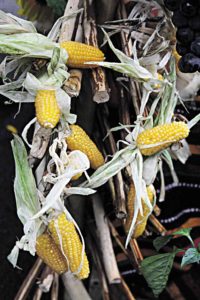 Консервована кукурудза корисніша від вареної і поп-корну