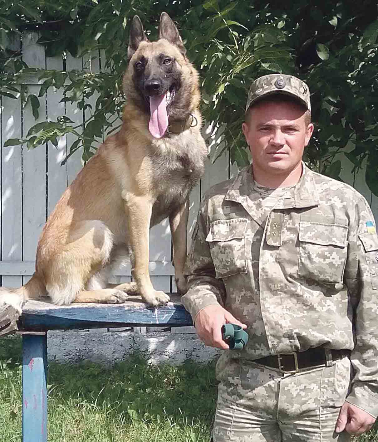 Пес Орк із Літина – найкращий службовий собака України