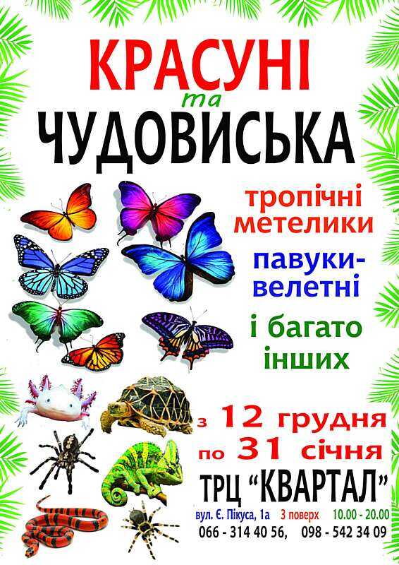 Виставка екзотичних тварин та комах відкривається у Вінниці 12 грудня