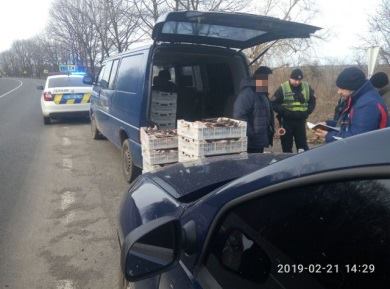 313 кг риби вилучив рибоохоронний патруль в селі Озеро на Вінниччині