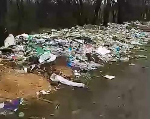 Тонни сміття під Северинівкою Жмеринського району (відео)