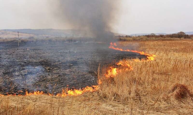 На Вінниччині шість разів підпалювали суху траву