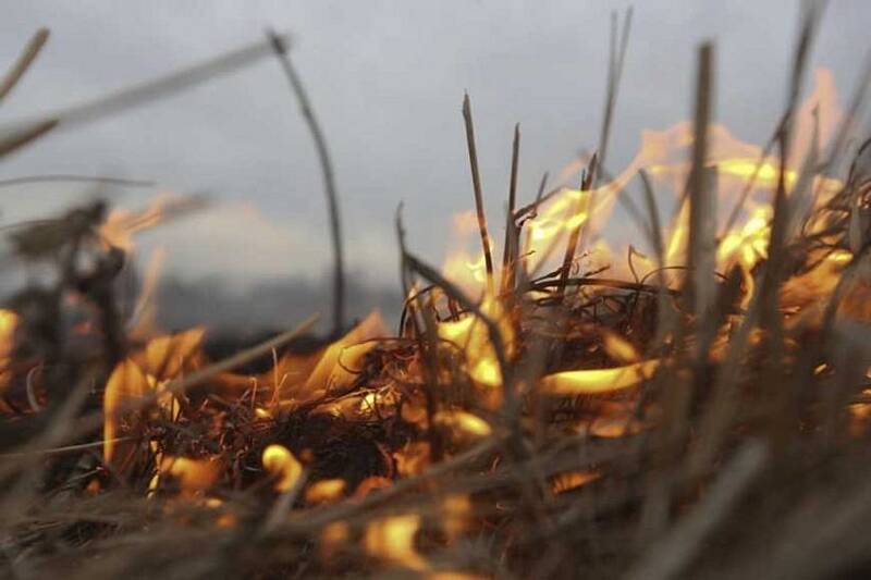 Вчора на Вінниччині 15 разів палили суху траву