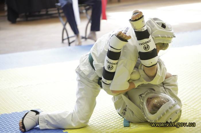 Японці приїхали до Вінниці на відкритий чемпіонат Європи Зендокай Карате-До…