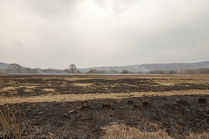 Суху траву вчора двічі спалювали на Вінниччині