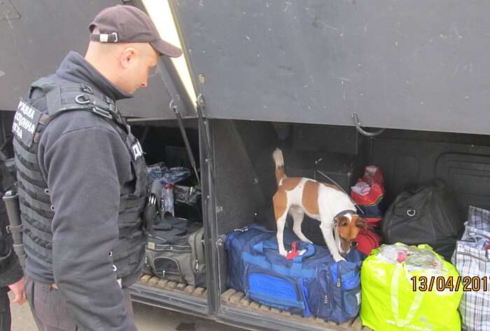 Як службові собаки допомагають нашим прикордонникам затримувати злочинців
