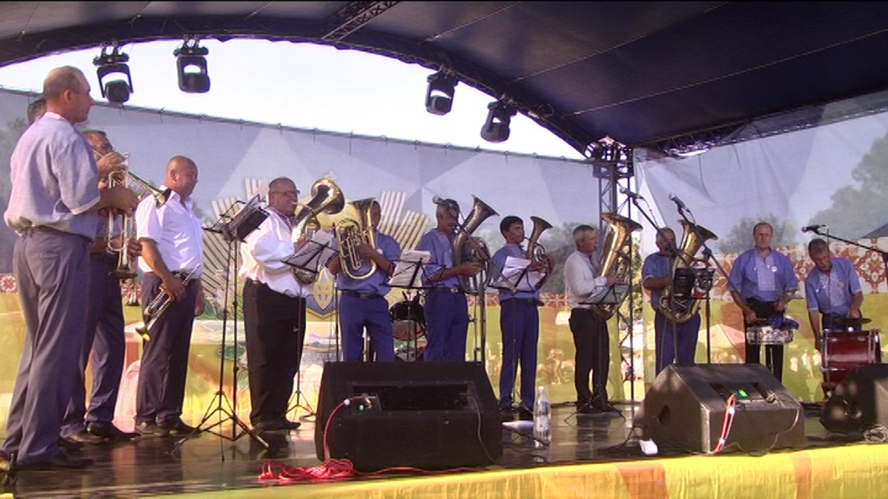 Весільсні музики влаштували фестиваль у Вербці
