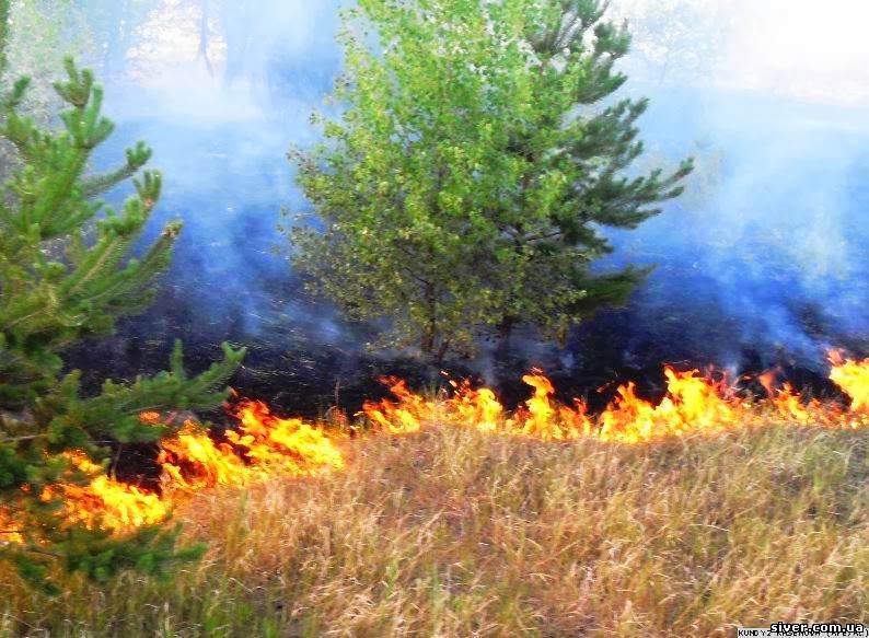 На Тиврівщині оштрафували підпалювачів стерні