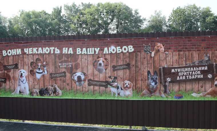 Муніципальний притулок для тварин, проводить благодійну акцію до Всесвітнього дня боротьби зі сказом