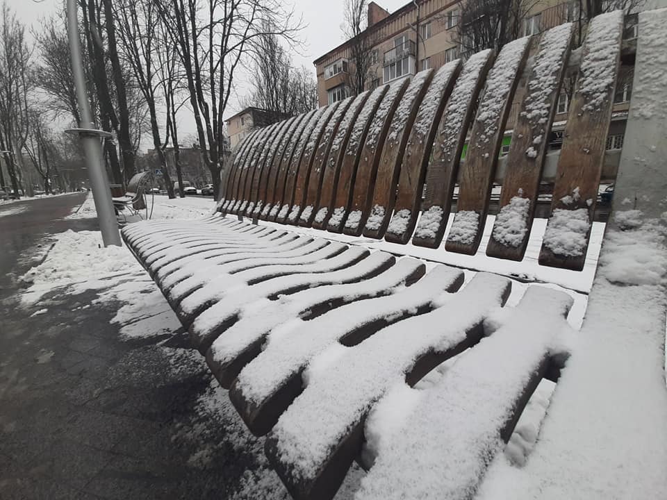Сакури під першим снігом у Вінниці напередодні Нового 2020-го року! 30-31 грудня обіцяють до 6 градусів морозу (відео)