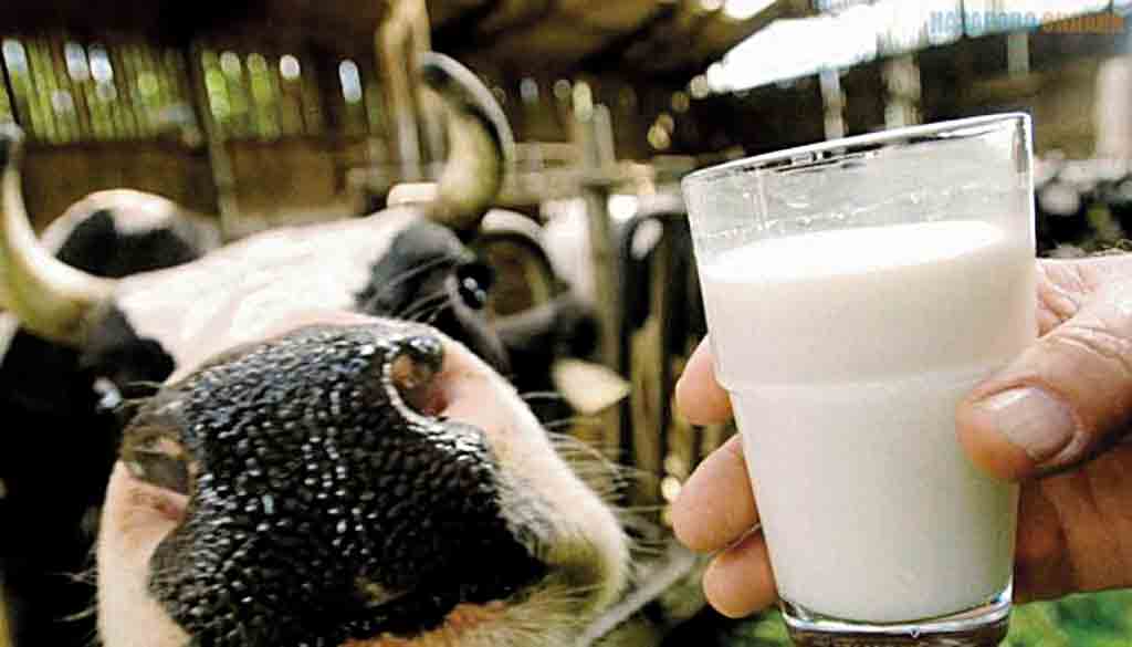 Чому ціна на молоко залишається низькою? – запитують жителі Вінниччини