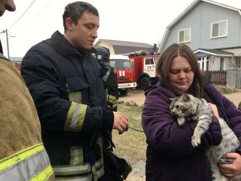 Бабусю з котом із задимленої квартири врятували люди та пожежники