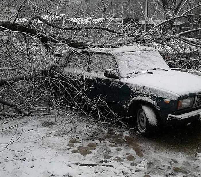 В день «шторму» по Вінниці падали дерева та бились авто. Нині місто та область скувала крига, що пануватиме до понеділка 10 лютого