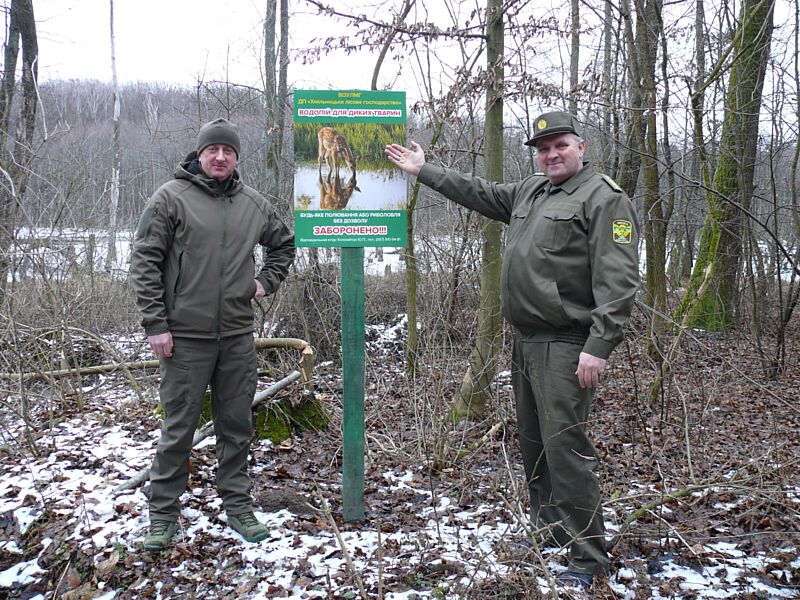 Вінницькі лісівники облаштовують лісові водопої для звірів: ставок, озеро, струмок…