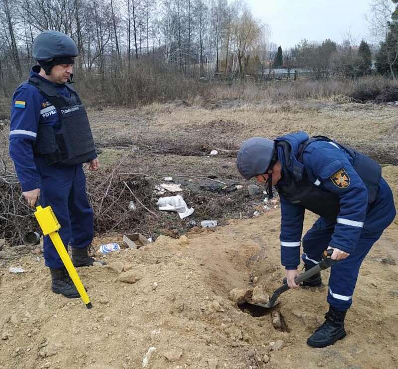 Три мінометні міни знешкодили на Вінниччині
