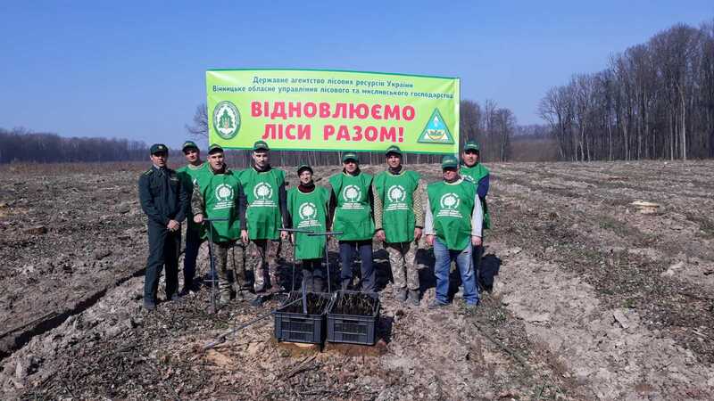 Триває відновлення лісів у Вінницькому лісгоспі