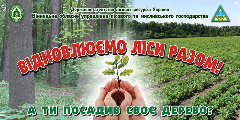 ДП «Крижопільський лісгосп» відтворить у цьому році 114 га лісів