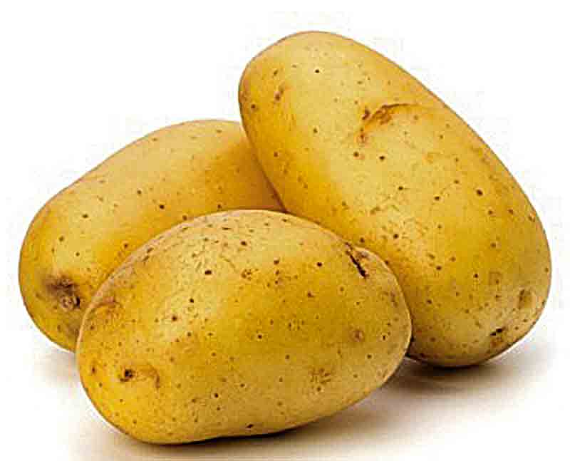 Картопля з провінції Бретань – тренд серед вінничан