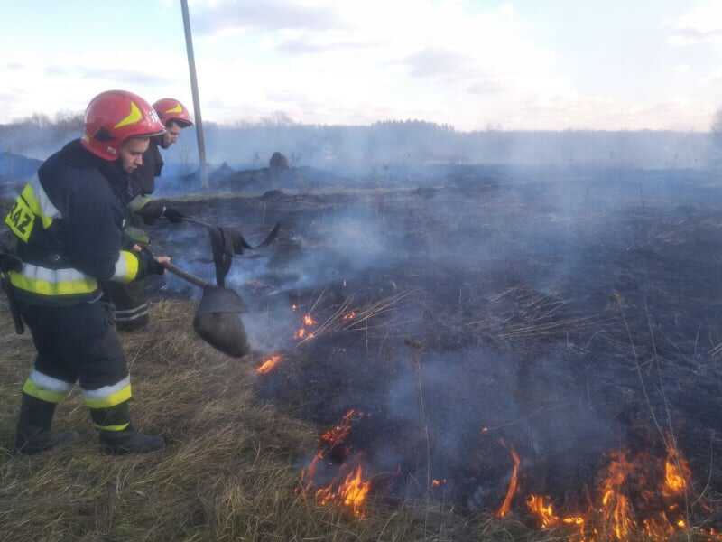 630 пожеж від спалювання сухої трави зафіксовано на Вінниччині