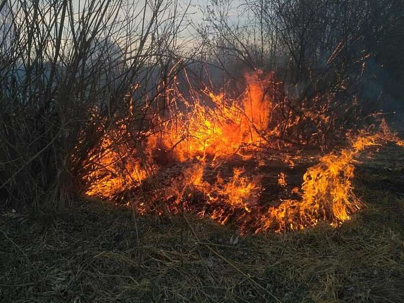 17 пожеж за добу гасили на Вінниччині! Нарешті пішов рятівний дощ… (відео)