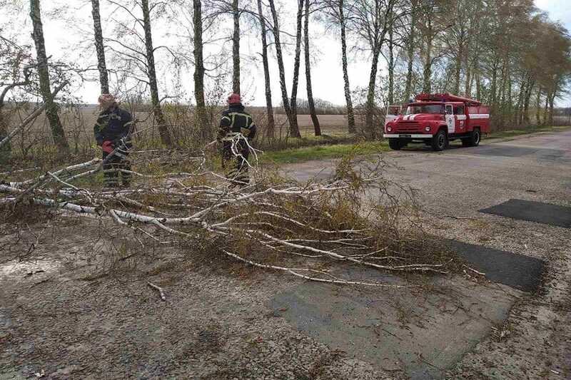 Вітер перекрив рух транспорту – повалив дерева на дороги на Вінниччині (фото)