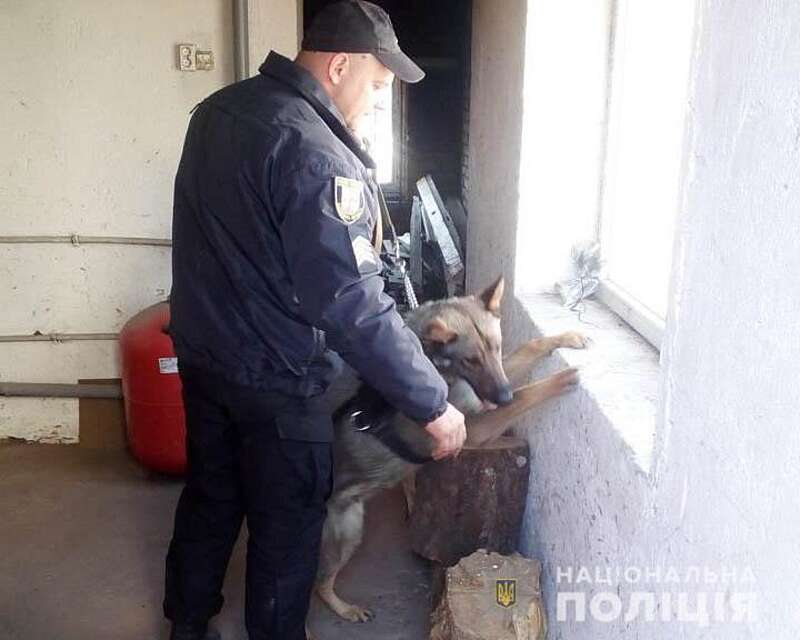 Поліцейський пес знайшов наркотики у жителя Тростянця