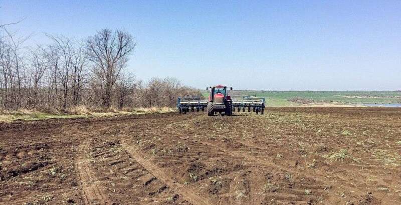 Занадто низький рівень вологи в грунтах на Вінниччині. Що стане наслідком даної ситуації?