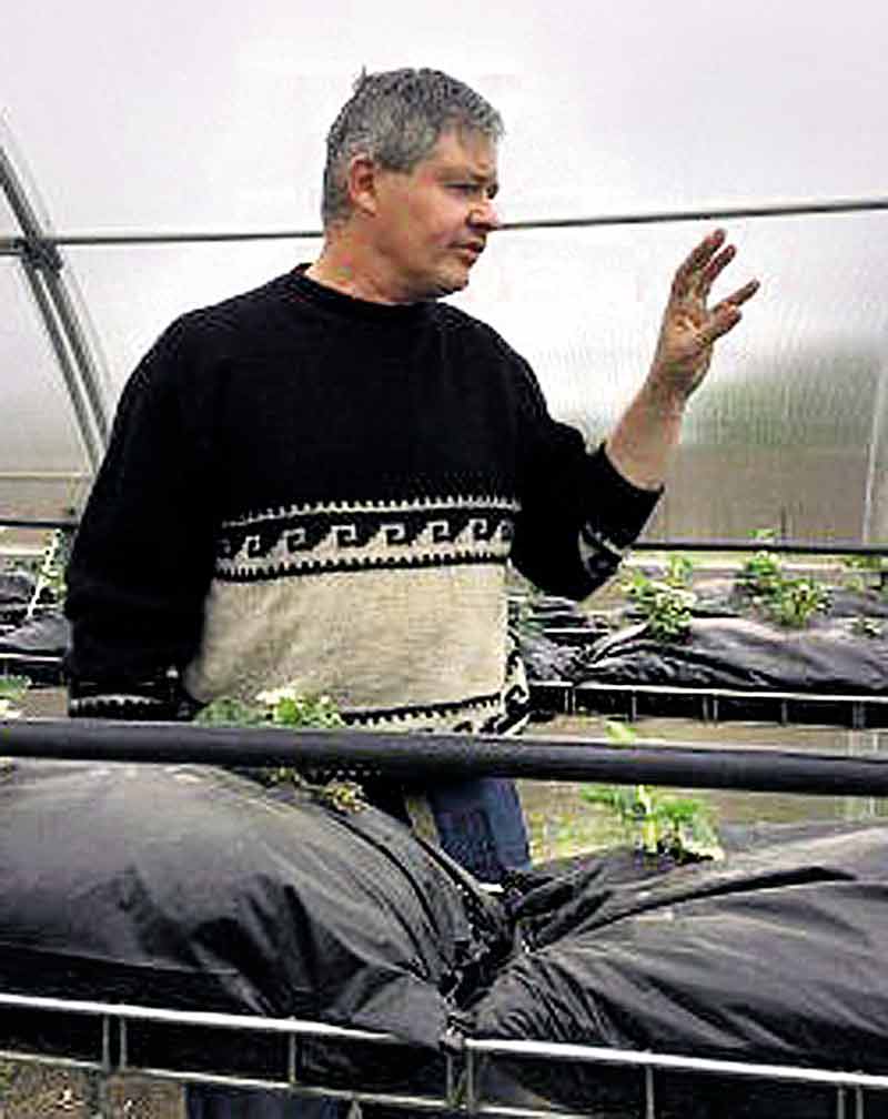Екзотичні овочі на городі вирощує переселенець з Донбассу