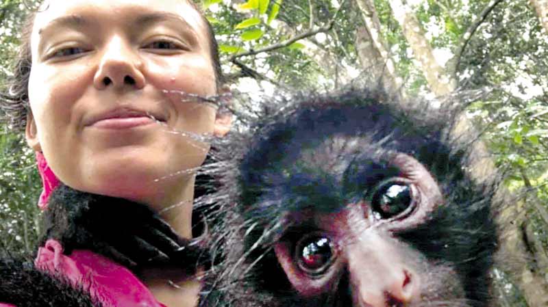 Вінничанка доглядала мавпочок у джунглях Південної Америки. Туди поїхала як волонтерка