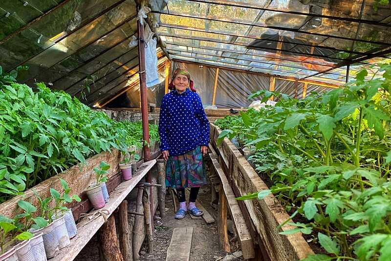У свої 93 Ольга Харевська вирощує розсаду для односельців