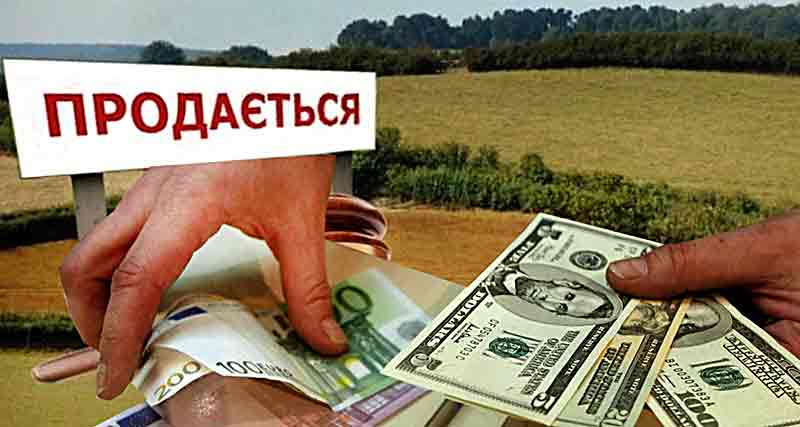 «Продам право на землю у Вінницькій області» – оголошення такого змісту після карантину знову активізувалися в Інтернет-мережі