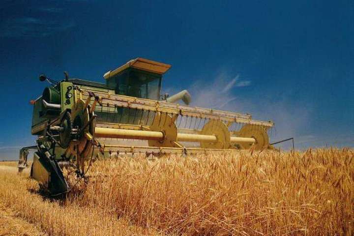 Кому належить урожай зернових на Ямпільщині? – розслідує поліція