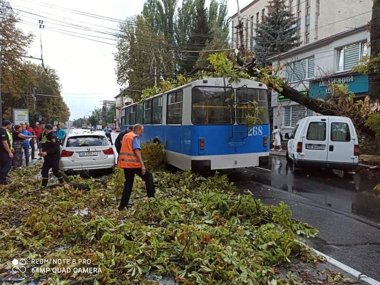 На Пирогова дерево упало на тролейбус і два авто (відео)