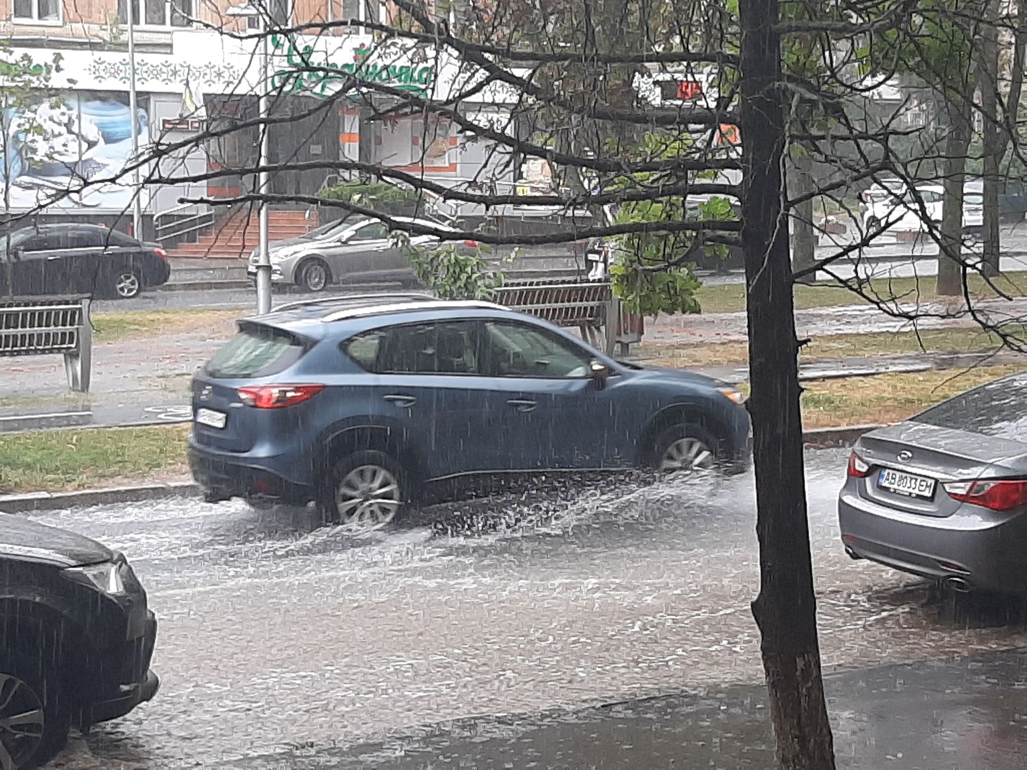 Гради та шквальні дощі накрили Вінниччину. Дерево упало на тролейбус і авто (відео)