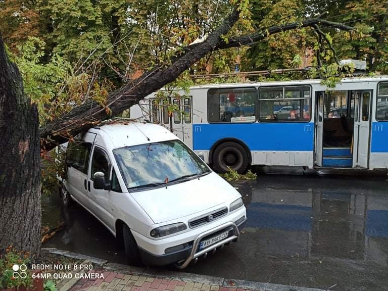 Эталон авто воронеж пирогова