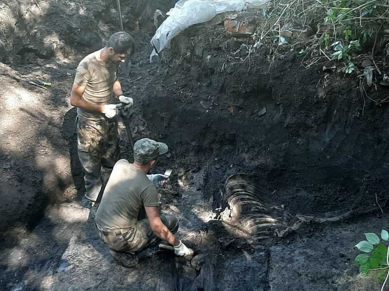 У Вінниці знайшли і розкопують найбільше в світі та Україні кладовище військових Галицької армії (відео)