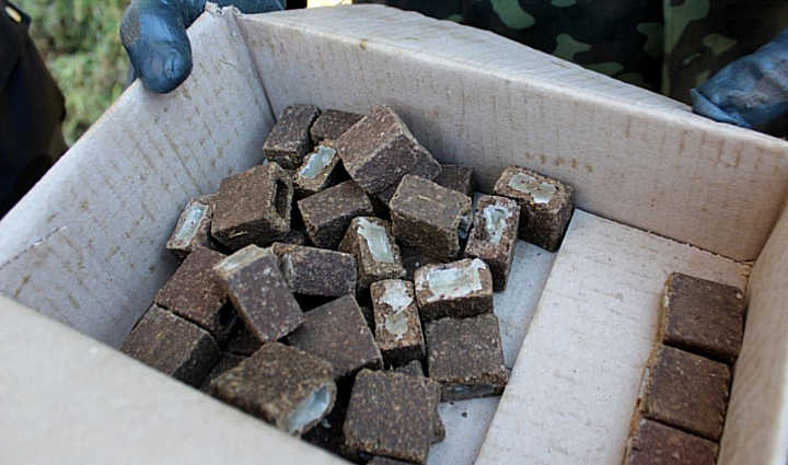 На Вінниччині проведуть авіазаходи проти сказу