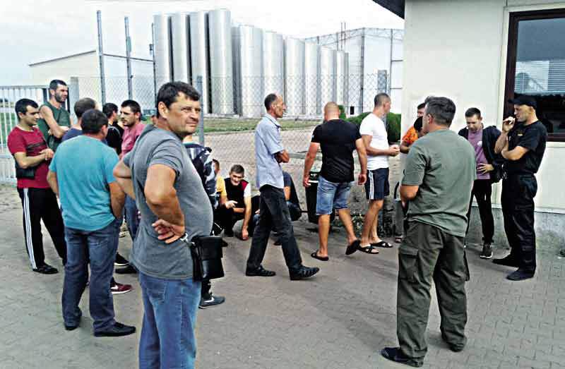 Липівчани вже тиждень пікетують місцевий соковий завод. Чому працівники звертаються у прокуратуру?