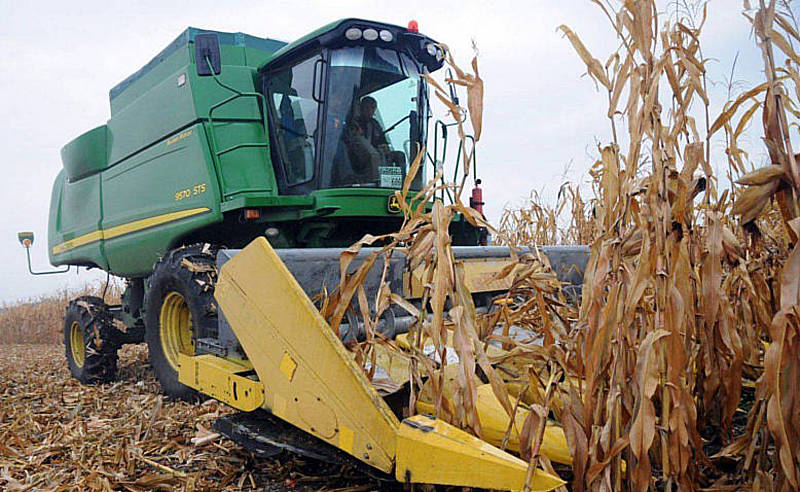 Вінницькі аграрії скаржаться на поганий урожай кукурудзи