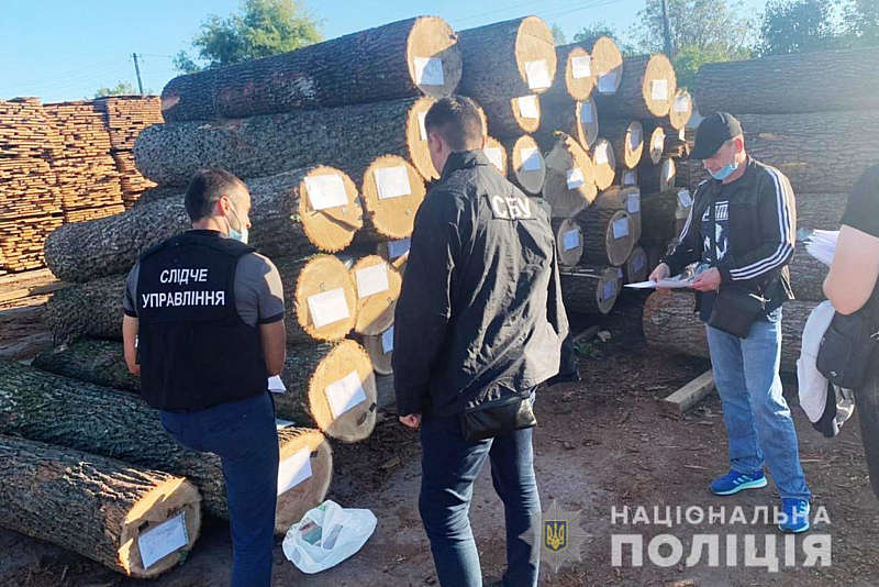 Посадовцям одного з лісництв Вінниччини оголошено про підозру у незаконній порубці лісу