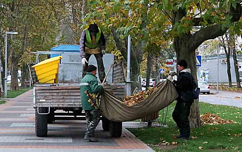 Листопад – це не тільки золота краса листя, але й важка, щоденна робота двірників (відео)