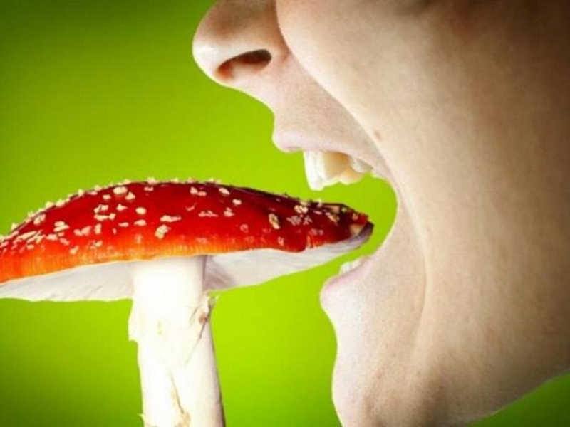 На Вінниччині 73 людини отруїлося грибами, серед них є дитина 13 років