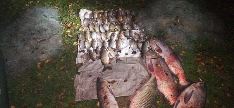 48 кілограмів риби виловив браконьєр